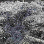 鋼ダライ粉の写真１