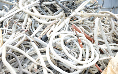 皮付銅の写真２